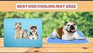 Best Dog Cooling Mat | Dog Cooling Mat Reviews 2022
