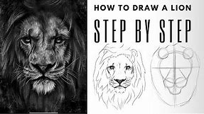 Easy Step by Step Guide for Drawing a Realistic Lion