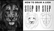 Easy Step by Step Guide for Drawing a Realistic Lion