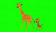 funny cartoon giraffen mother and baby walking animation green background