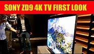 Sony ZD9/Z9D 4K 'Ultimate' HDR TV FIRST LOOK