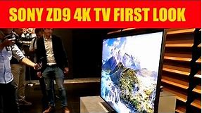 Sony ZD9/Z9D 4K 'Ultimate' HDR TV FIRST LOOK