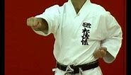Basic Karate Punches: Chokuzuki - Straight punch