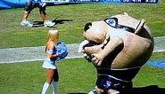 Mascot Eats Cheerleader - Tennessee Titans' T-RAC devours blonde