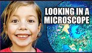 Microscope For Kids - Fun with Science