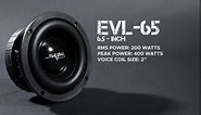 Skar Audio EVL-12 D2 12" 2500 Watt Max Power Dual 2 Ohm Car Subwoofer