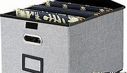 Office File Box with Lid, Storage File Boxes Decorative, Cute Hanging File Organizer Box, Portable Office Document Storage with 6 Folders, for Letter/Legal Folder(Gray-2 Pack) …