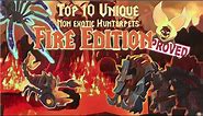 Top 10 UNIQUE, non exotic Hunter Pets (Fire Edition)