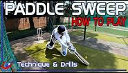 How to play the Paddle Sweep | Cricket Batting Coaching