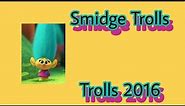 Smidge Trolls From DreamWorks trolls
