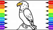How To Draw a Bald Eagle | Coloring Pages | Drawing Videos For Childrens