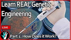 [LIVE] Learn Genetic Engineering - Part 1: How does it work?