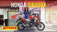 Honda CB200X walkaround - It's a Hornet 2.0 ready for an adventure | First Look | Autocar India