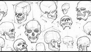 Drawing A Skull (From Different Angles) (Time-lapse)