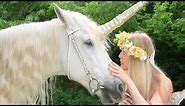 Fairy Sarah and Friends - Fairy Sarah - Luna Rose the magic Unicorn | Learning For Kids