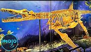 Top 10 Greatest Dinosaur Discoveries Of All Time