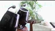 Philips Fidelio SoundSphere Docking Speaker with AirPlay DS9800W