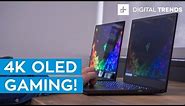 Razer Blade 15 OLED and 240hz LED Hands-On Review
