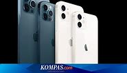 Ini Bedanya Kamera iPhone 12, 12 Mini, 12 Pro, dan 12 Pro Max