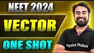 VECTOR in 1 Shot: FULL CHAPTER COVERAGE (Concepts+PYQs) || Prachand NEET 2024