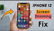iPhone 12 Screen Dimming Automatically - 4 Ways To Fix