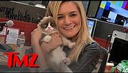 Grumpy Cat Visits TMZ! | TMZ