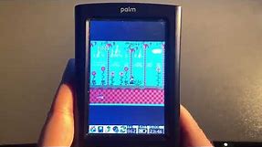 Why You Should Get a Palm Pilot