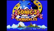 Sonic 3 and Knuckles - How to get Blue Knuckles (Glitch Method)