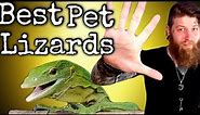 These Monitor Lizards Make Great Pets! [Top 5 Best Monitor Lizards]