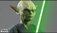 How Yoda Became a Jedi [FULL STORY] - Star Wars Canon and Legends