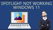 How to Fix Spotlight Not Working on Windows 11?