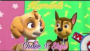 Paw Patrol Chase X Skye Moments Part 2