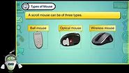 Know More About Computer Mouse-Class 2-Chapter 5-Types of Mouse-Part 3