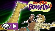 What's New Scooby-Doo? | Fluorescent Animals | Boomerang UK