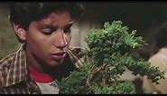 "Bonsai Tree" - The Karate Kid. (Soundtrack)