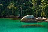 Brazil Tropical Rainforest Pictures