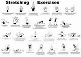 Back Exercises Beginners