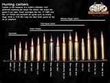 Pictures of Best Caliber For Long Range Hunting