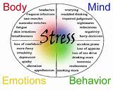 How Does Physical Activity Reduce Stress Images