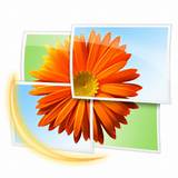 Windows Live Picture Gallery For Windows 7 Pictures