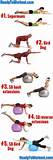 Back Exercises Home Gym Images