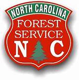 Nc Forest Service Photos