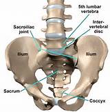 Photos of The Spine Joint