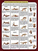 Yoga Exercises For The Spine