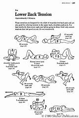 Back Problems Exercises Stretches Pictures