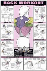 Various Back Exercises
