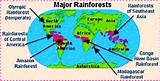 Tropical Rainforest Of The World Pictures