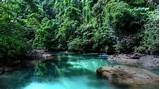 Photos of Costa Rica Rainforest