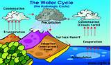 Tropical Forest Water Cycle Images