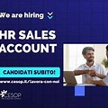 HR Sales Account
